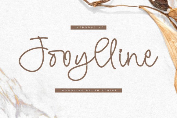 Jooylline: A Versatile Script Handwritten Font for Designers