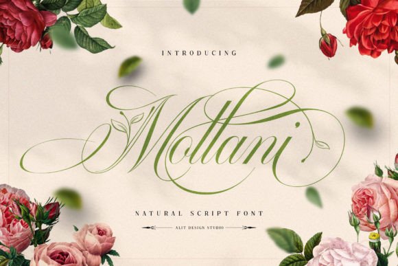 Mollani Font for Creative Web Design and Branding