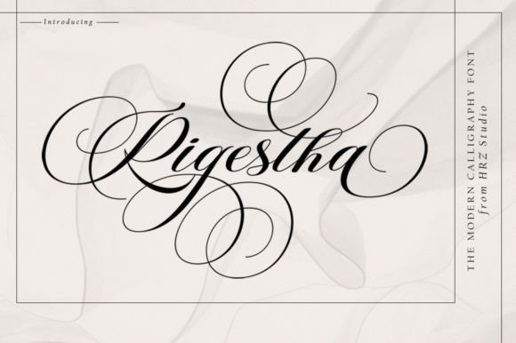 Rigestha: The Script Font That Elevates Your Brand’s Visual Story