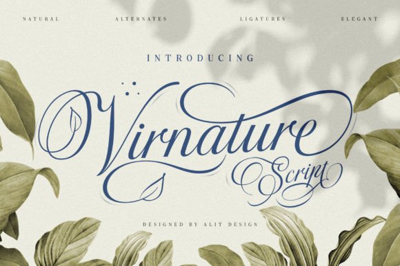 Virnature: The Script Handwritten Font That Elevates Your Campaigns